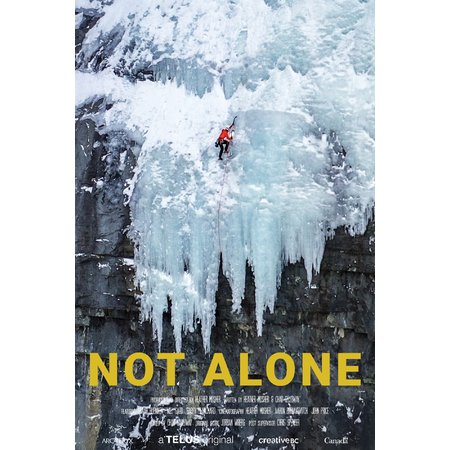 Not alone - Affiche