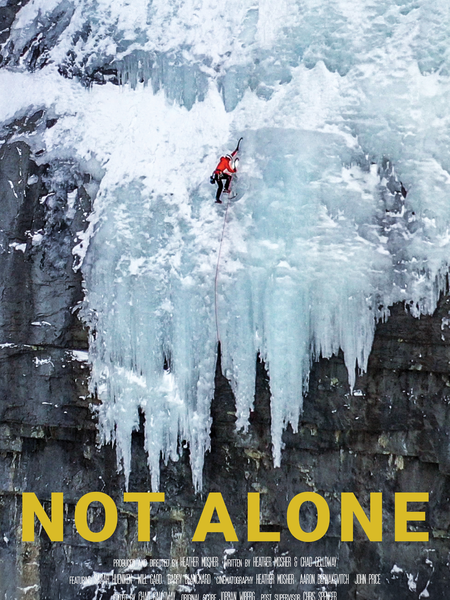 Not alone - Affiche
