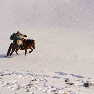 Mongolie, la vallée des ours - Photo 1 ©Hamid Sardar