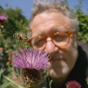 Mon jardin aux mille abeilles - Photo 4 ©Droits réservés