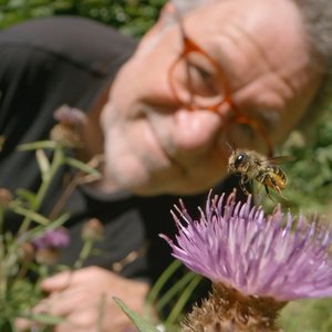 Mon jardin aux mille abeilles - Photo 3 ©Droits réservés