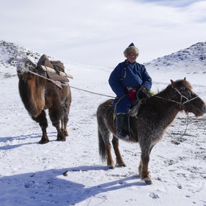 Grand Bivouac 2019 - Ivre de steppes, Un hiver en Mongolie