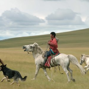 Le cavalier mongol Visuel 2 Grand Bivouac