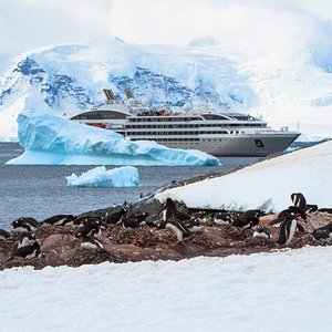 La vie cachée en Antarctique - Photo 3