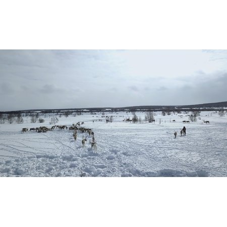 Un hiver en pays Evene - Photo 1