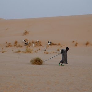 Vents de sable, femmes de roc - visuel 4
